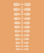 Gel tips for nail extensions - Medium Almond (240 pcs/pack)